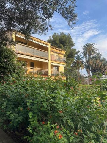 Bel Respiro Cannes